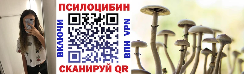 Галлюциногенные грибы Psilocybine cubensis  Купить где  Апшеронск 